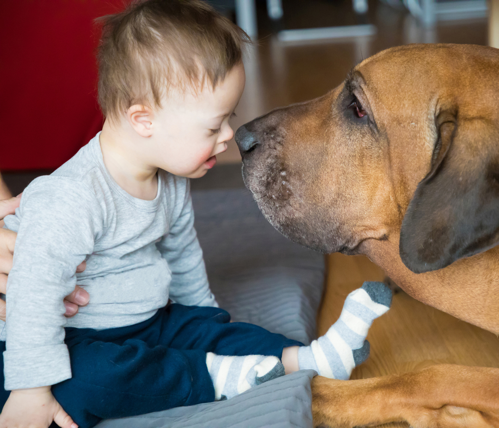 Considerations for Utilizing Animal Assisted Therapy in Pediatric Practice