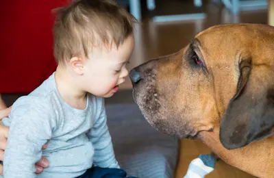 Considerations for Utilizing Animal Assisted Therapy in Pediatric Practice