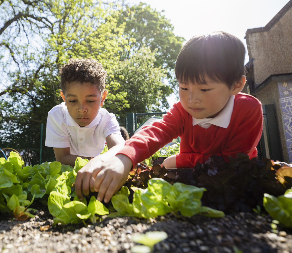 Neurodiversity Affirming Goal Setting in Early Intervention Practice