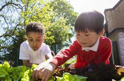 Neurodiversity Affirming Goal Setting in Early Intervention Practice