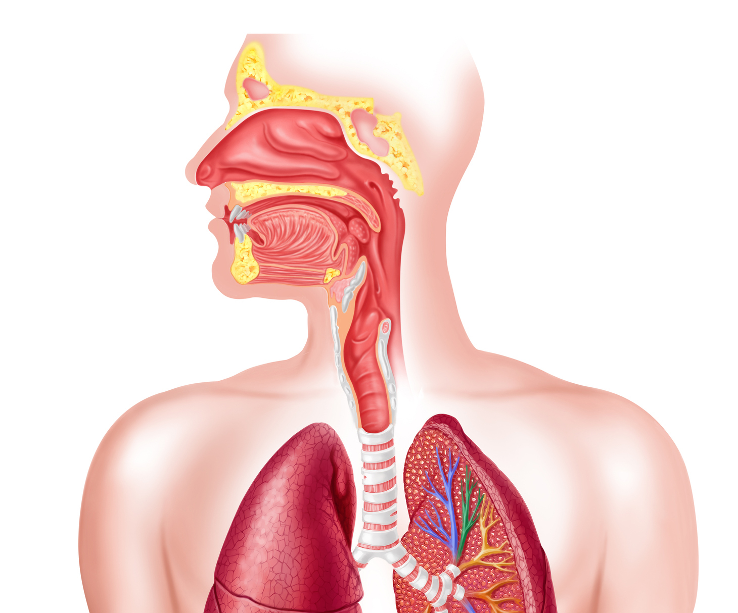 What Every Therapist Needs to Know About Dysphagia