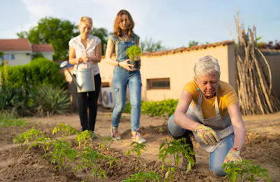 The Impact of Functional Tasks on Independence