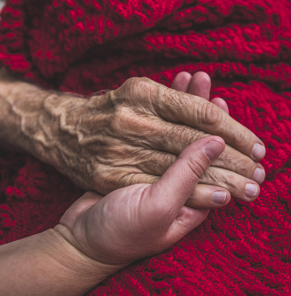 Rehab Hospice and Palliative Care