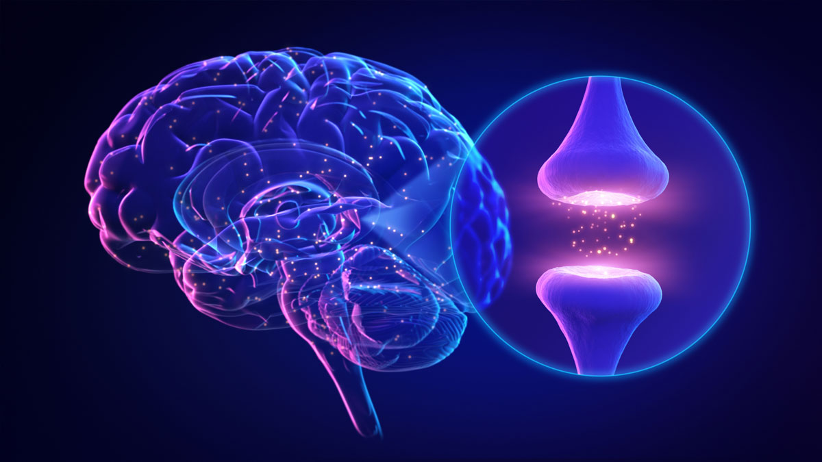 Neuroplasticity: What It Is and How to Use It