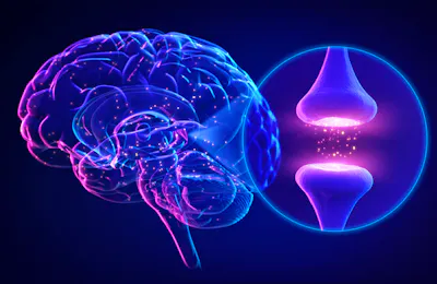 Neuroplasticity: What It Is and How to Use It