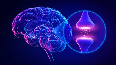 Neuroplasticity: What It Is and How to Use It