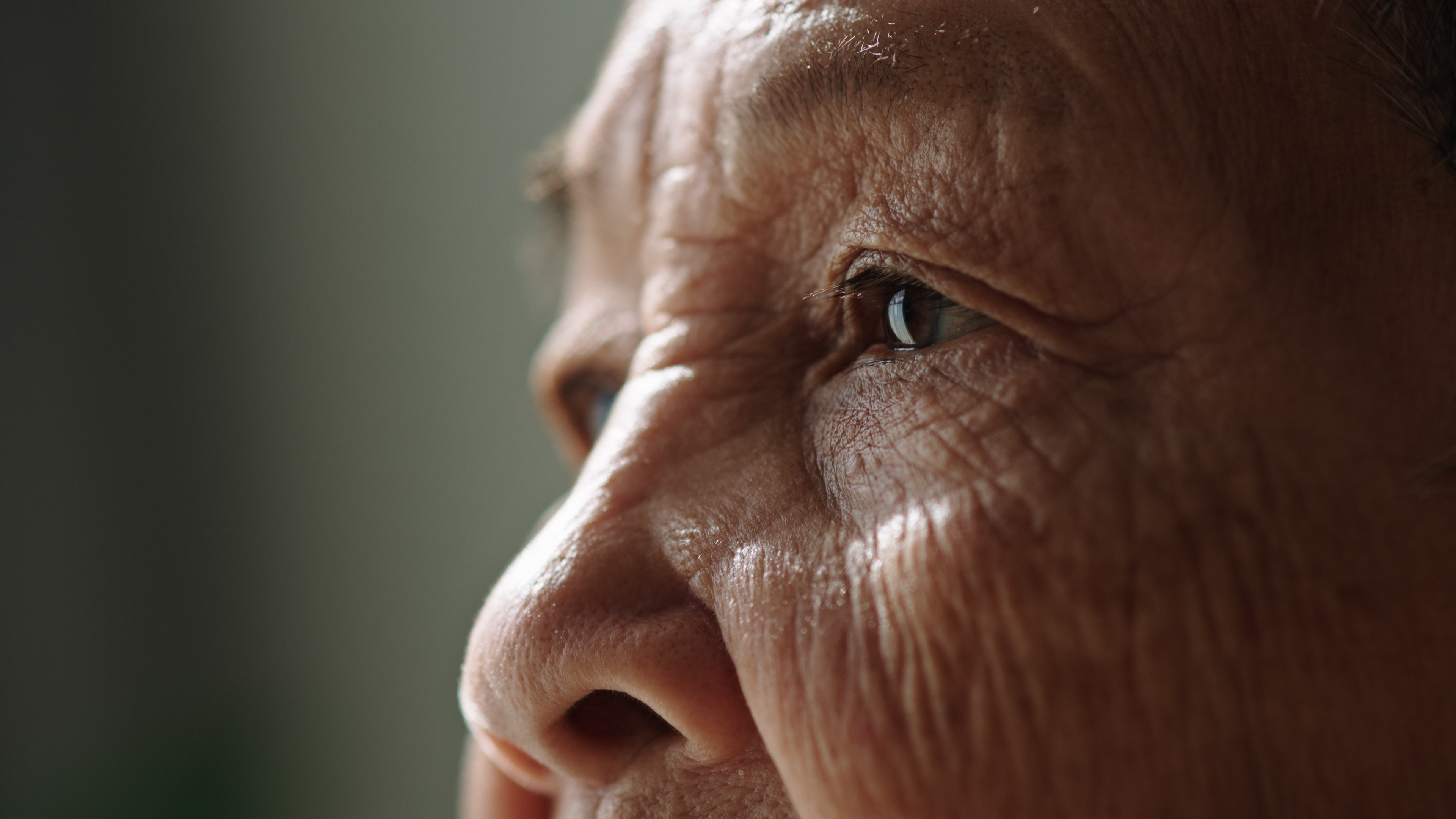 Beyond the Fall: Unseen consequences of Vision Loss