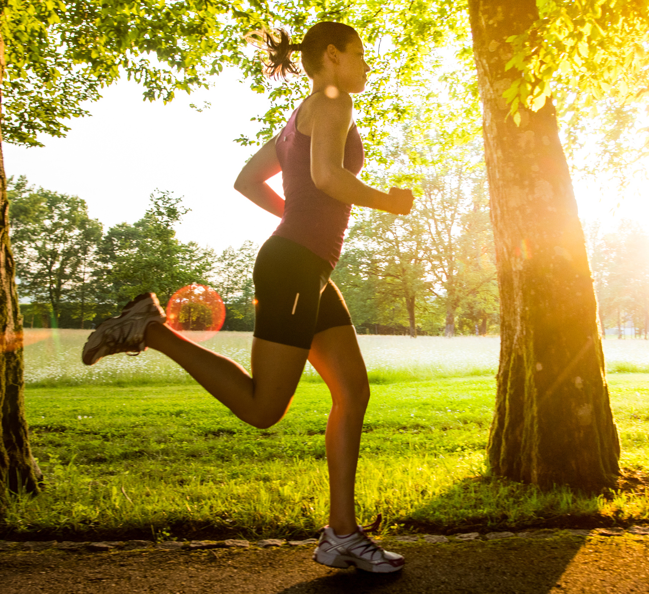 Running Biomechanics