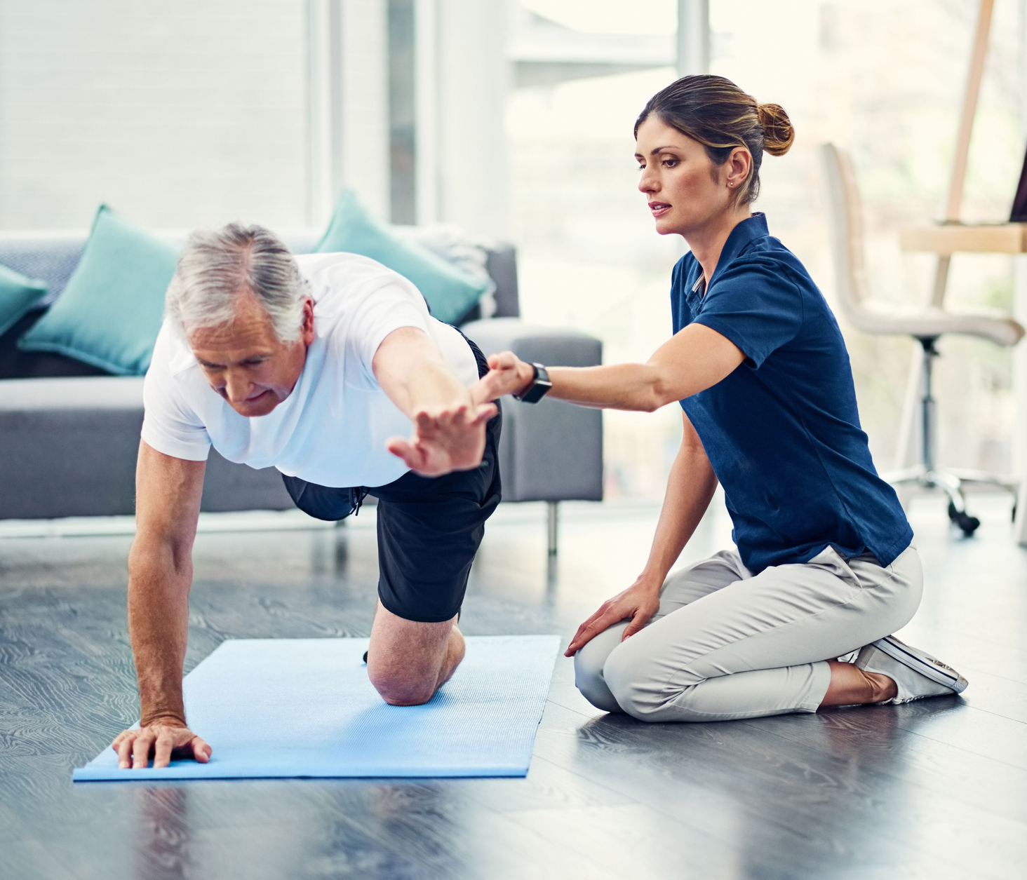 Strength, Stability and Mobility