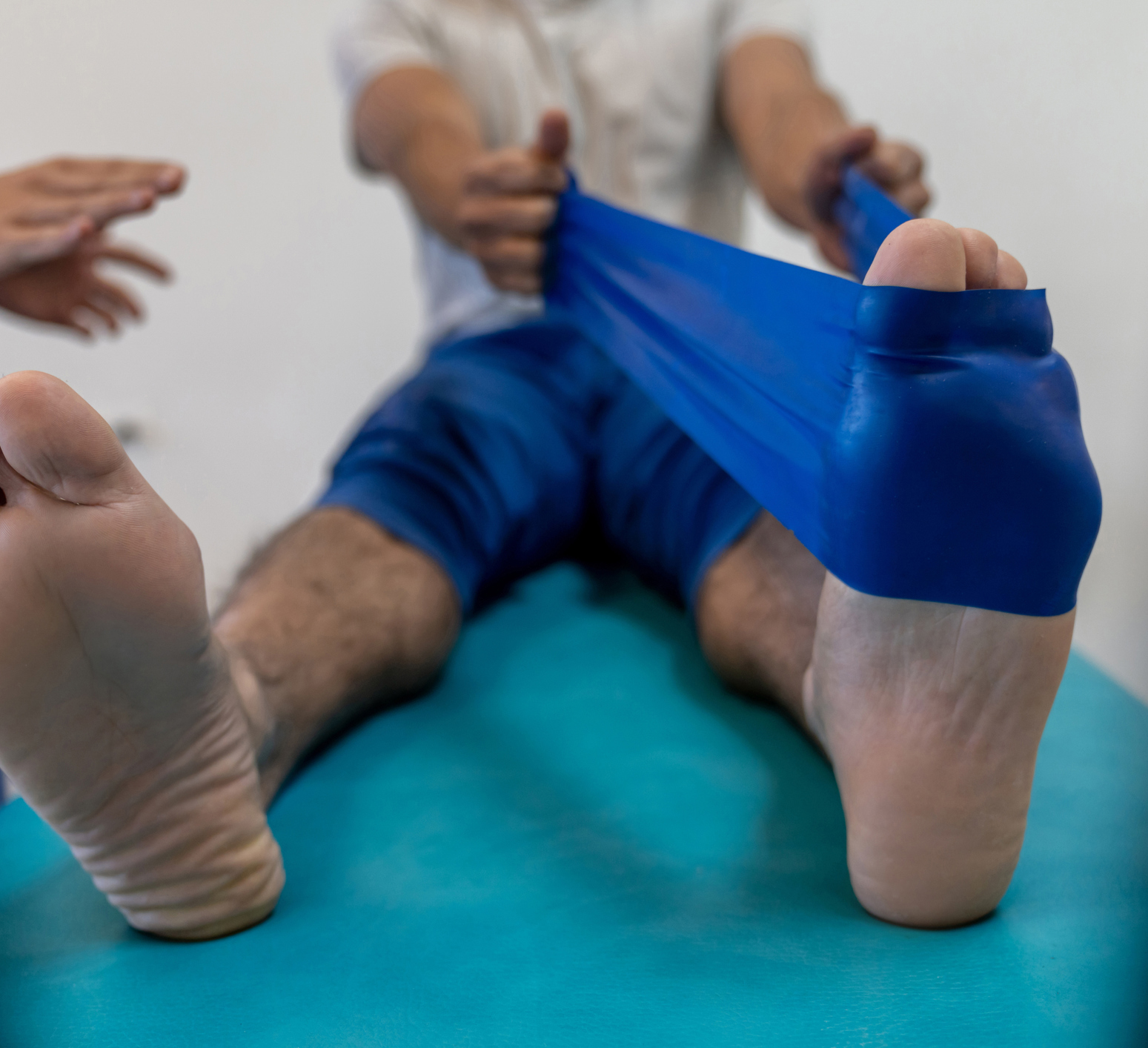 The Functional Anatomy Series: Plantarflexors