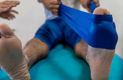 The Functional Anatomy Series: Plantarflexors