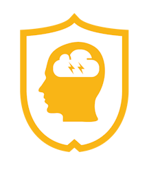 Stroke Certificate Series