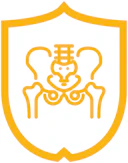 Pelvic Health certificate series icon