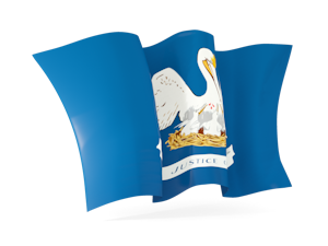 State flag