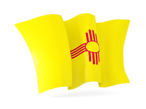 State flag