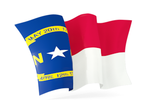 State flag