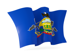 State flag