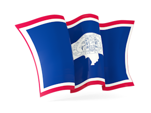 State flag